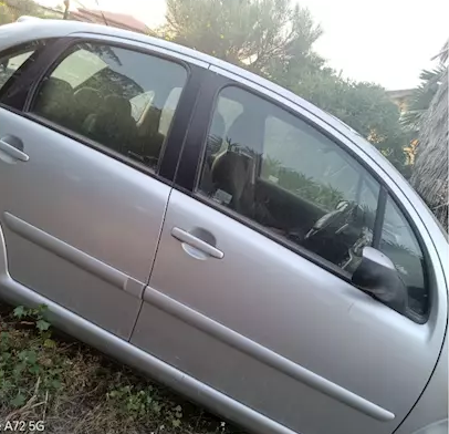 citroen-c3-anno-2008-big-3