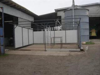box-per-vitelli-completo
